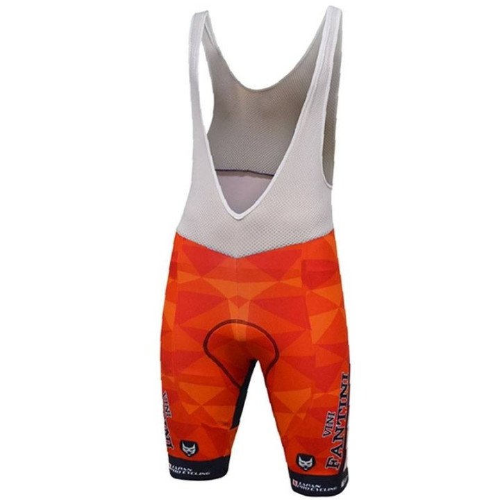 Conjunto de ciclismo NIPPO VINI FANTINI para disfrutar del verano