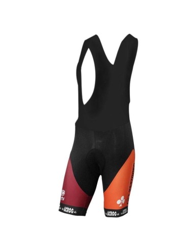 Conjunto corto de ciclismo PAUWELS SAUZEN para un verano cómodo y fresco