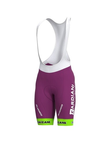 Ropa de ciclismo de verano BARDIANI CSF: comodidad y estilo para pedalear