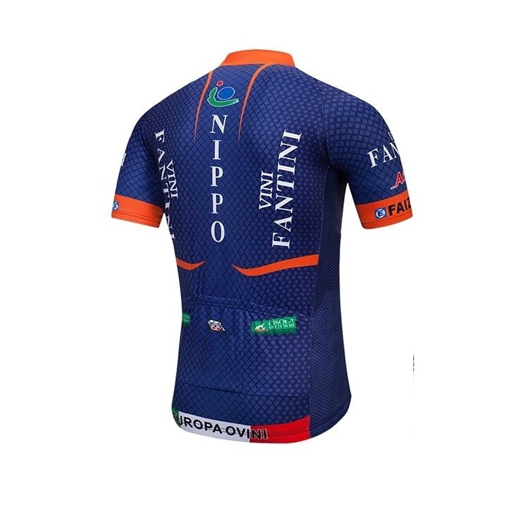 Maillot ciclismo corto Vini Fantini: comodidad y frescura para tus paseos