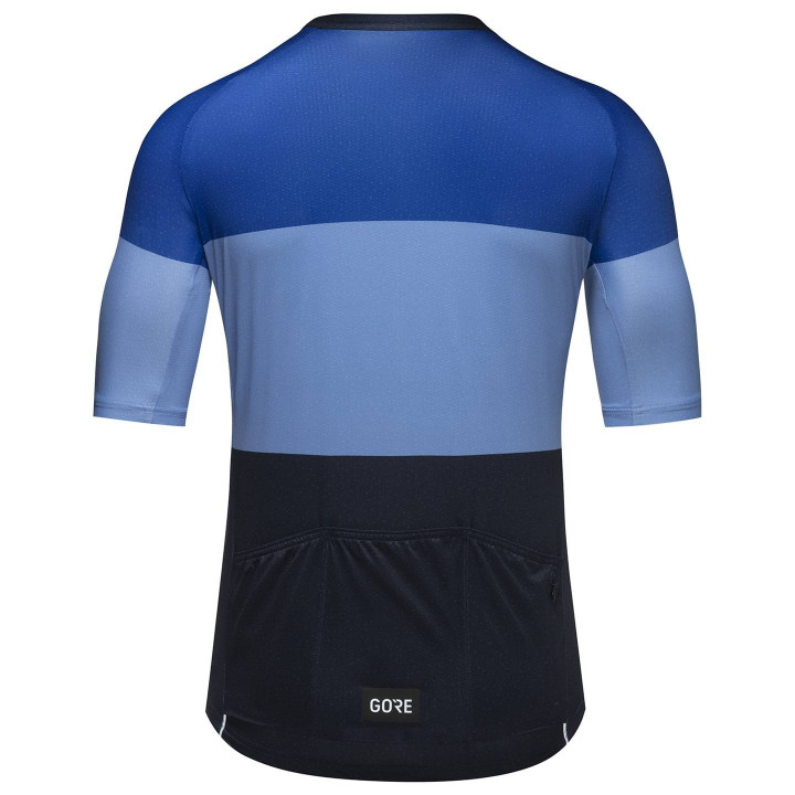 Maillot corto Spirit Stripes azul de GORE WEAR para ciclistas que buscan estilo y comodidad