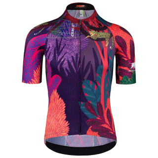 Maillot R2 de Q36.5: comodidad y estilo para ciclistas amantes de la naturaleza